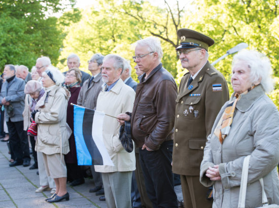 Lipu päeva tähistamine, 2015